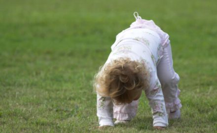 Toddler on a greene lawn in the process of falling head first.