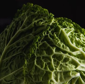 Cabbage Leaves for Breast Pain, Engorgement, and Weaning