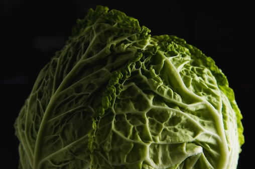 From Pain to Gain: The Magic of Cabbage Leaves for Weaning