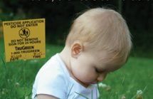 Child sitting on a green lawn with a pesticide warning sign in the background