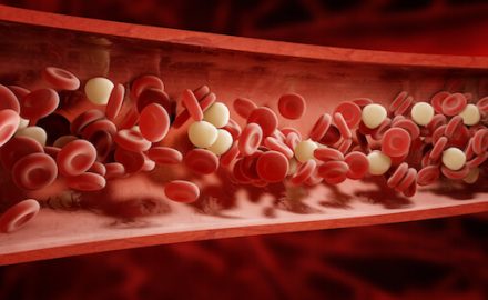 Red Blood Cells - Decreasing iron Supplements