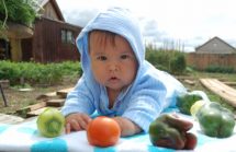 EPA Bans Fruit & Vegetable Pesticides