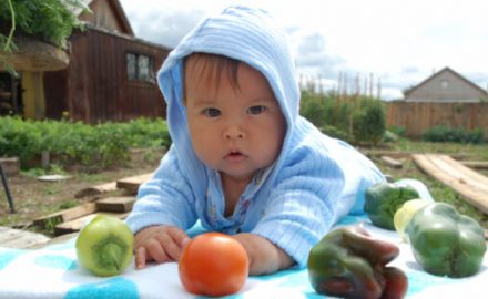 EPA Bans Fruit & Vegetable Pesticides