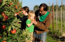 Fathers for Organic – Part 6 of 7: A Father Provides