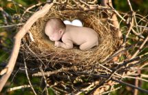Is It Empty Nest Time At Your House?
