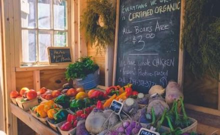 Organic foods on a farm table. Organic healthiest choice for children.