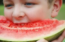 Organic Watermelon, Papaya, and Diabetes