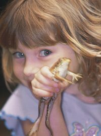 Sex changes in frogs, puberty in children?