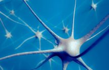Neuron in the brain on blue background. Neurons are key to The Brain Stage.