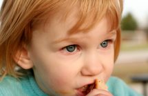 Vanilla Ear Infections/Red Hot Infections