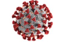 Cov-2 Virus that causes COVID-19