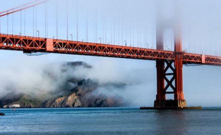 San Francisco Bay with fog rolling in under the Golden Gate Bridge where a baby's body was found after a coffin birth.